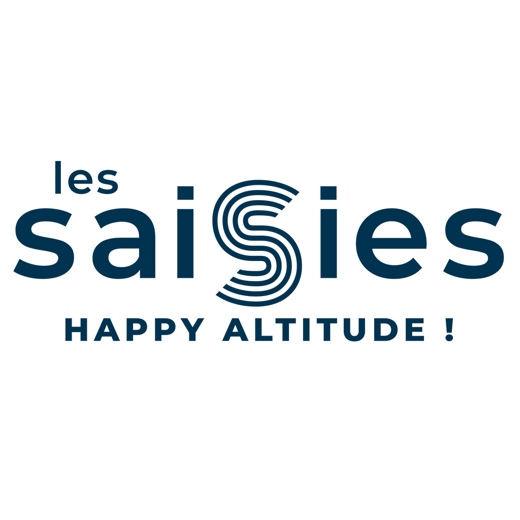 logo - les saisies
